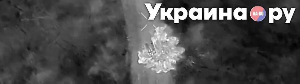    25   - &quot; &quot;: