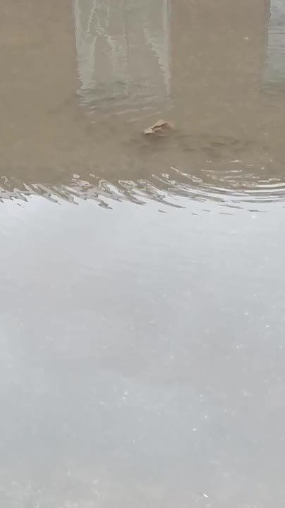    .                    ,    