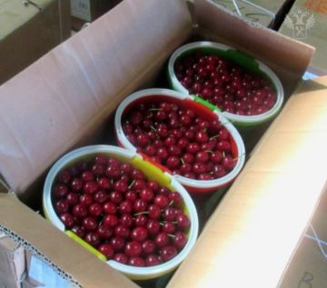 Шереметьевская таможня фиксирует рост ввоза орехов и фруктов