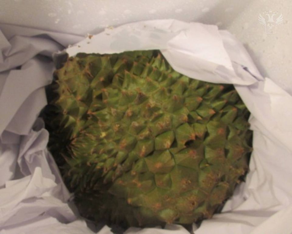 Шереметьевская таможня фиксирует рост ввоза орехов и фруктов Шереметьевская таможня фиксирует рост ввоза орехов и фруктов