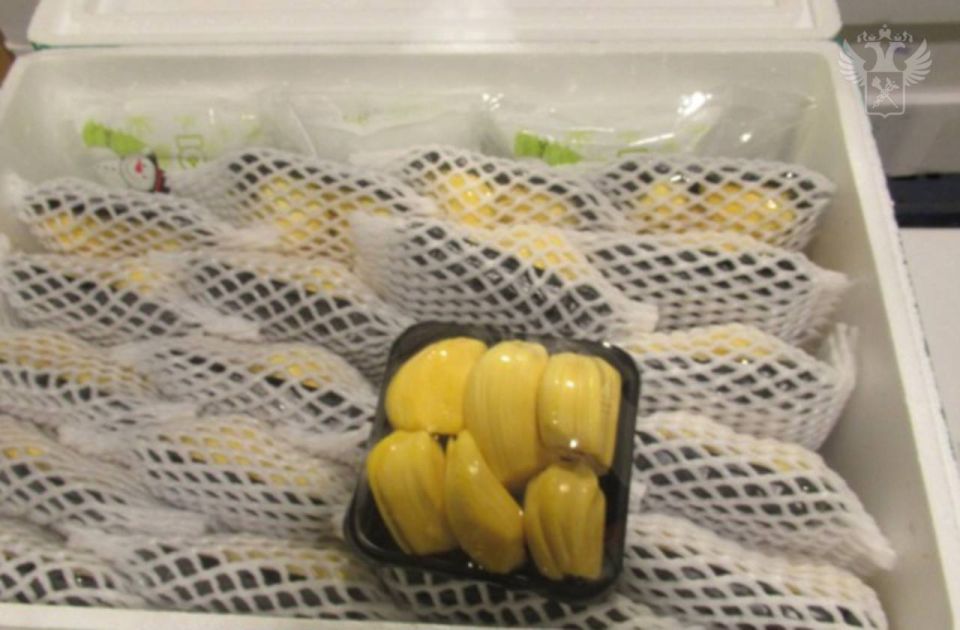 Шереметьевская таможня фиксирует рост ввоза орехов и фруктов Шереметьевская таможня фиксирует рост ввоза орехов и фруктов