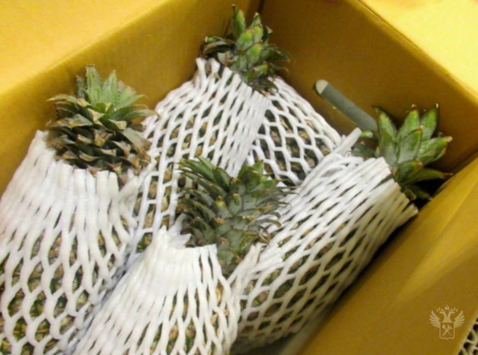 Шереметьевская таможня фиксирует рост ввоза орехов и фруктов Шереметьевская таможня фиксирует рост ввоза орехов и фруктов