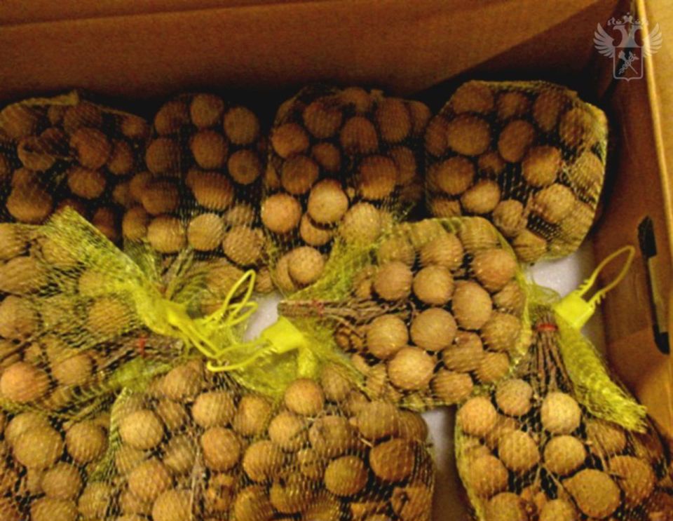 Шереметьевская таможня фиксирует рост ввоза орехов и фруктов Шереметьевская таможня фиксирует рост ввоза орехов и фруктов