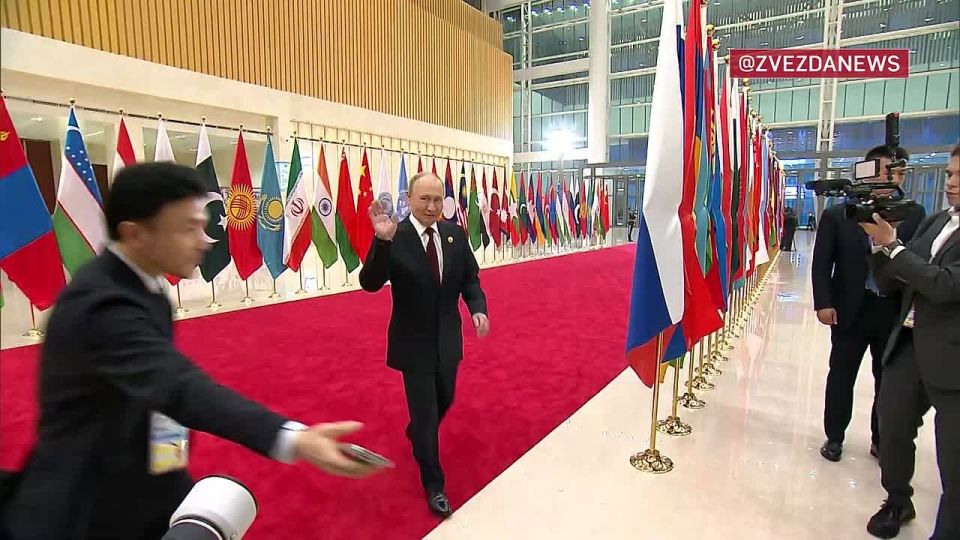 &quot;-&quot;       &quot;&quot;  