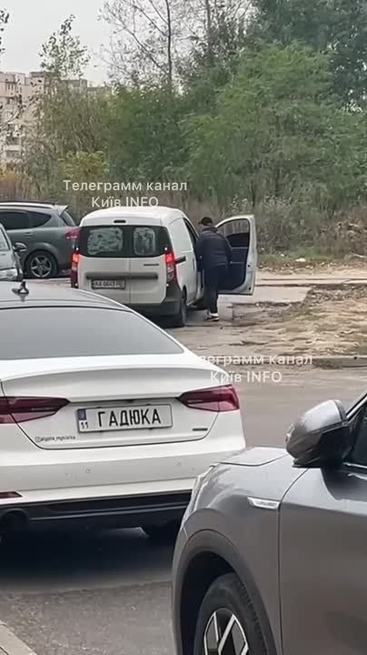 Кот не подошел, взялись за собаку: военкомы в Киеве затолкали в бусик пса вместе с хозяином