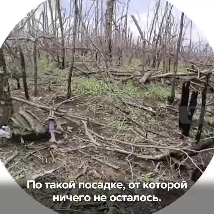 Герой СВО: военный из Брянска зимой переплыл ледяную реку в ЛНР, чтобы наладить связь между подразделениями