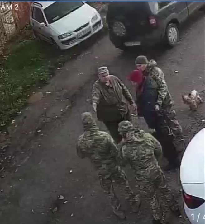 «Милая собачка, надо тебя бусифицировать»