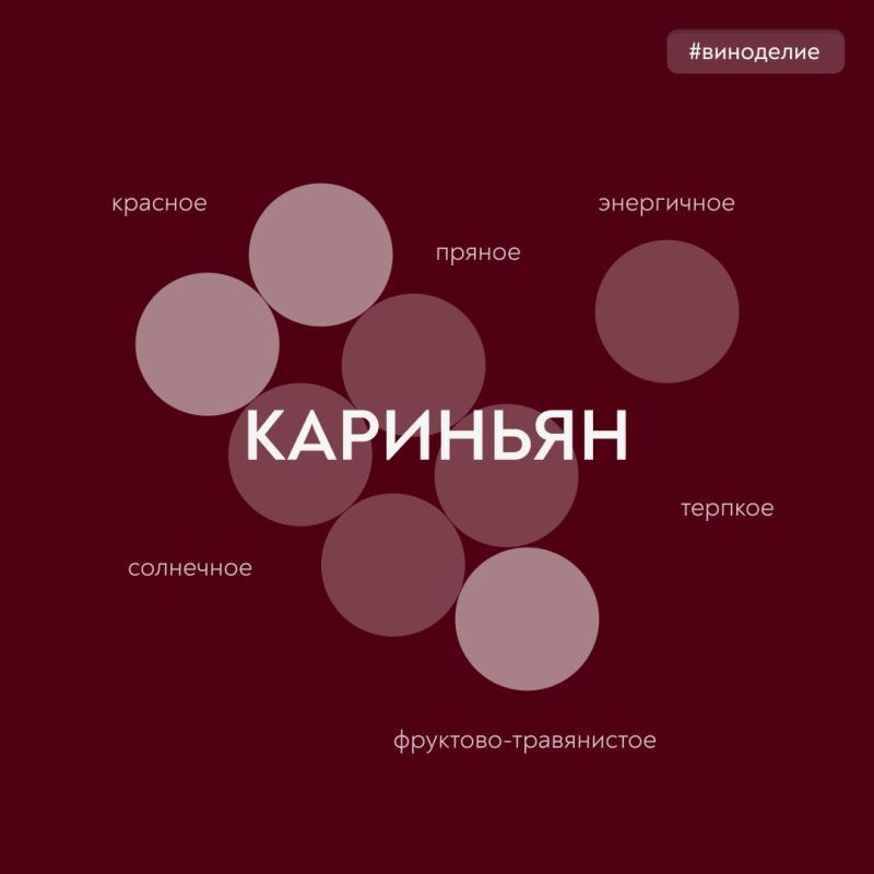 Солнечные ритмы в бокале. Сегодня в совместной с «Винным гидом России» рубрике #вино_недели – сорт винограда, наполняющий вино южным теплом, – кариньян