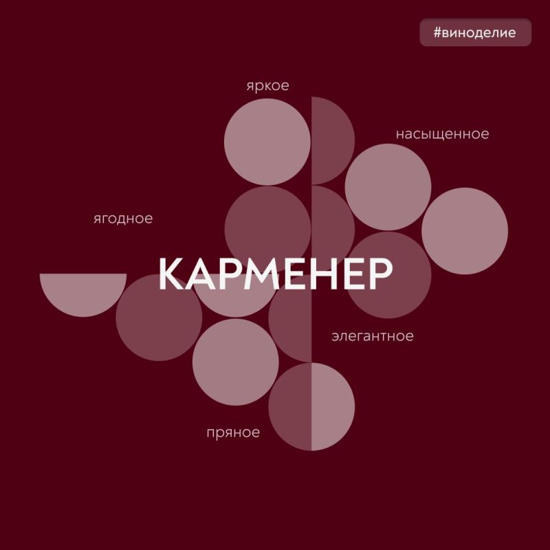 Карменер – пряный вкус и тонкий флер