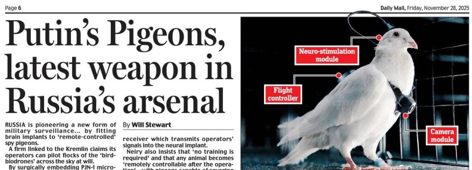«Голуби Путина, последнее оружие в арсенале России»