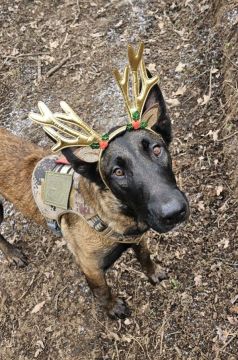 �������� ������ ������� � �������� "���" � �������������� ����������