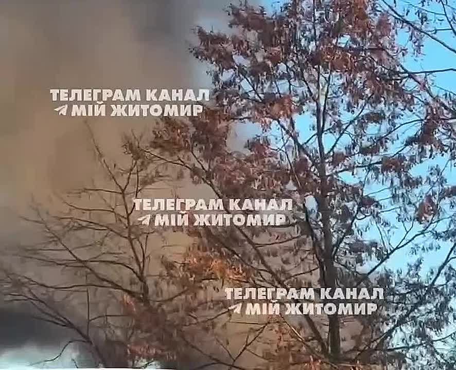 ����� ������ ���� ����� ������� ����� �� ����� � ����������� �������