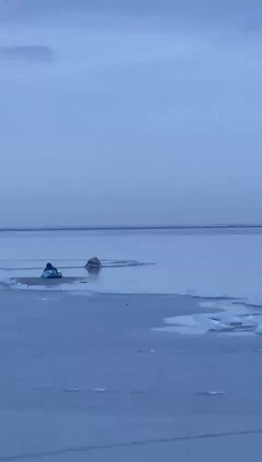На Таганрогском заливе в Ростовской области пеликан вмёрз в лёд