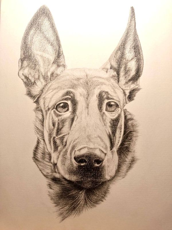 ����������� � ������������ � ����� ����������� #�����������������