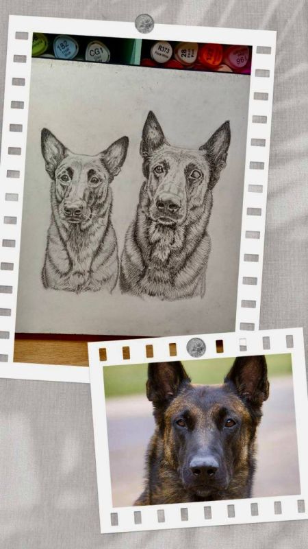 ����������� � ������������ � ����� ����������� #�����������������