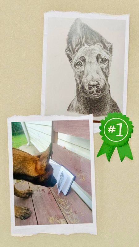 ����������� � ������������ � ����� ����������� #�����������������