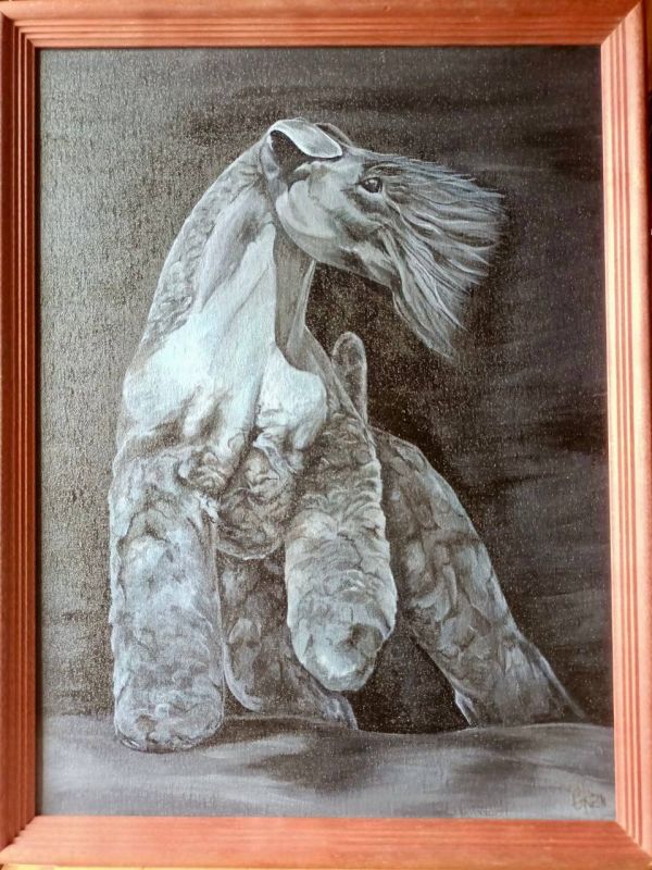 ����������� � ������������ � ����� ����������� #�����������������