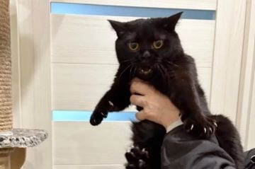 ������ �������� �������� ����� ������ ������ ���������