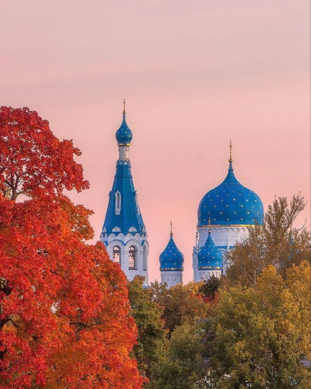Осеннее морозное утро в Гатчине особенно живописно и напоминает картины великих художников Осеннее морозное утро в Гатчине особенно живописно и напоминает картины великих художников