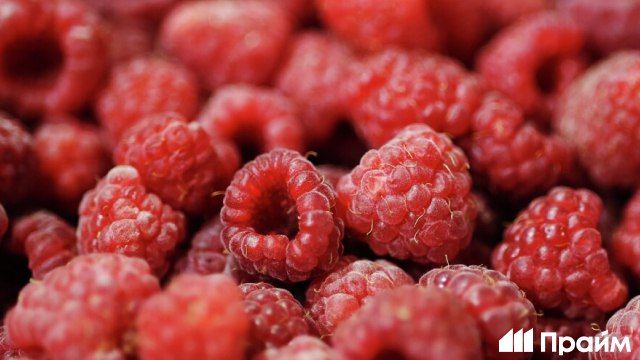 Россия вошла в число мировых лидеров по производству малины