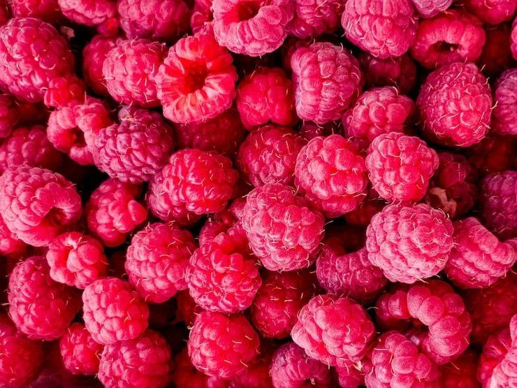 ������ � 2024-� ������ ������ ����� � ������� ������������ ������ � ����� � 23,2%, �������� 213,8 ��� ���� ����, ���������� ��� ������� �� ������ ����������������� � �������������������� ������������ ��� (FAO)