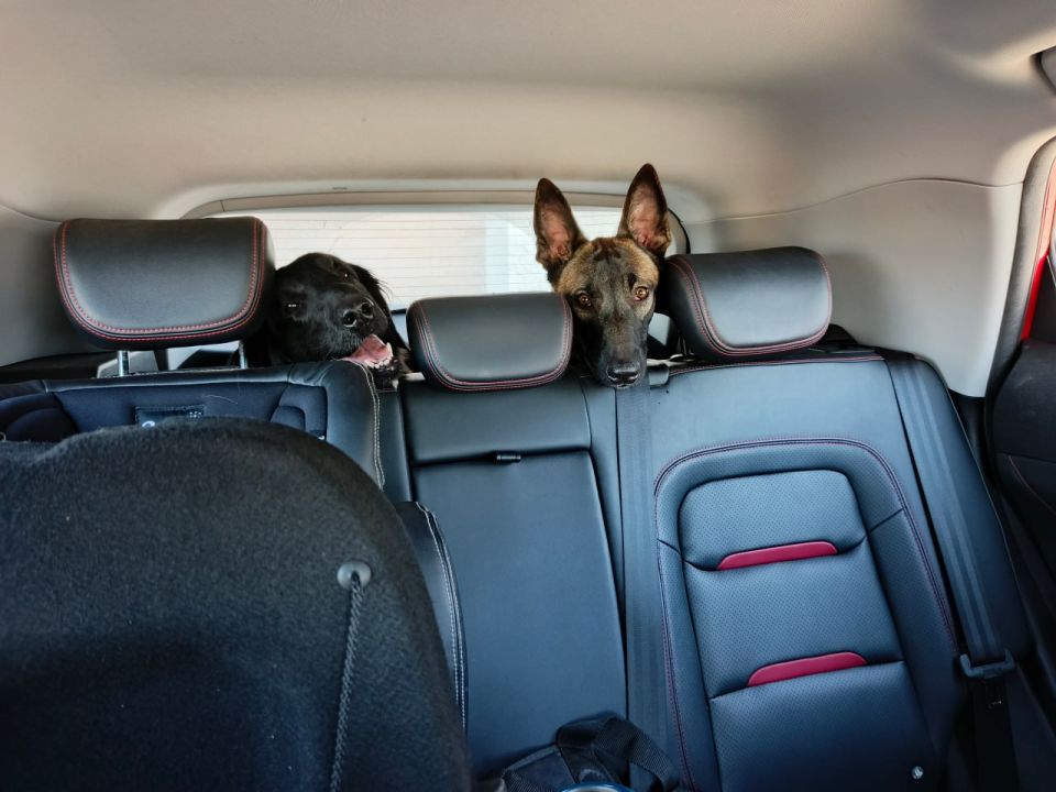 ��������������� ������������ ����������� �������� ����� ���� � ������� ����������� �� ���������� ��������