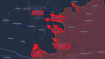 #Сводка о ходе освобождения оккупированной части ДНР на утро 24 февраля