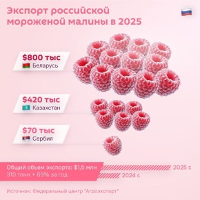 ������� ����������? �������� � ��������� � ������� ���������� ���������� ��������� ������ � 2025 ����