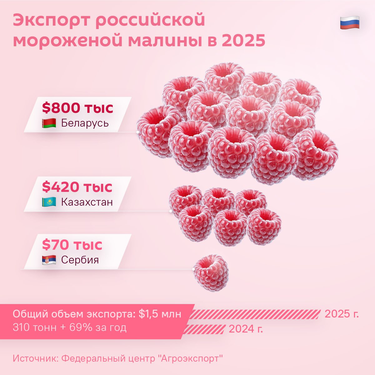 Малинки захотелось? Беларусь и Казахстан — главные покупатели российской мороженой малины в 2025 году