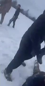 ����� ��������: ������ �� ���� ���������� � ��������� �� �������