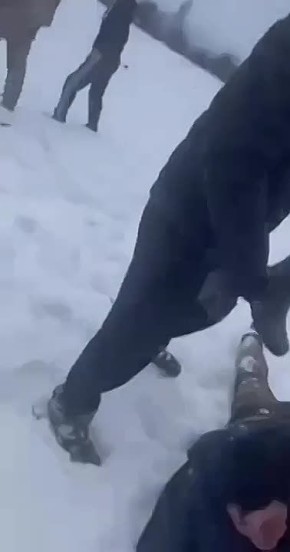 В Житомирской области гиены ТЦК помогают очередному мясному "рейнджеру" добраться до ЛБС