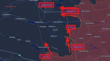 #������ � ���� ������������ �������������� ����� ��� �� ���� 06 �����