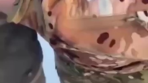 ��� ������: ������ ���� �� �������� �� ������������� ������� �. ���� ����� ���. ��� - ��������� ������� ������ ������ 404 ������ ����� �� �������