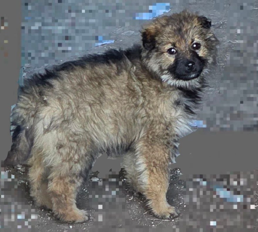 Третьего дня был хозяйственный день Третьего дня был хозяйственный день