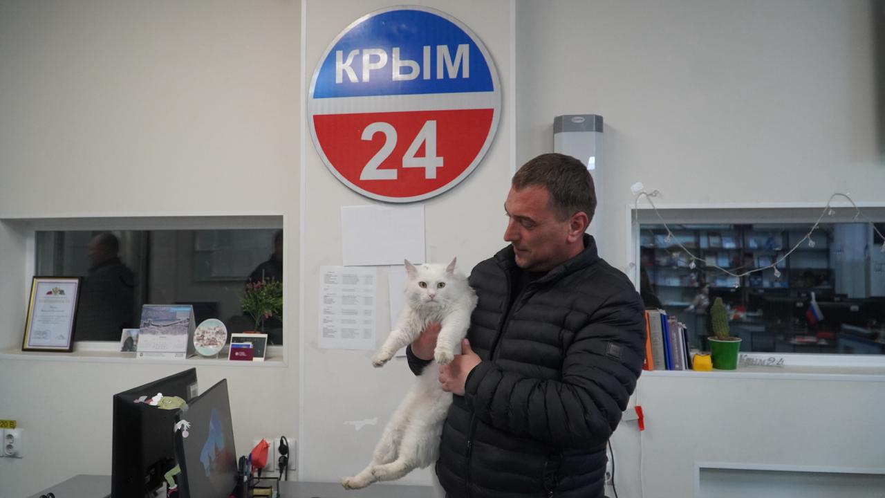 Мяу-новости: истории телевизионных котов Крыма Мяу-новости: истории телевизионных котов Крыма