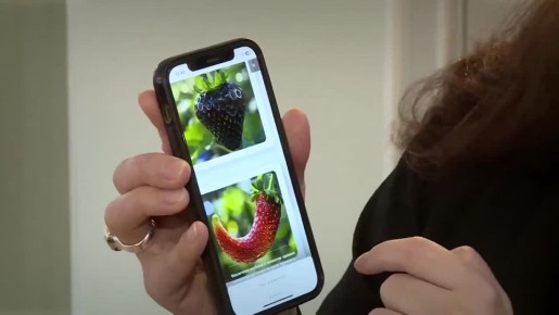 ������� ����, ������ �������� � ��������� ������� � ������� ������������� ������� ������������� � ������� "����-��������"