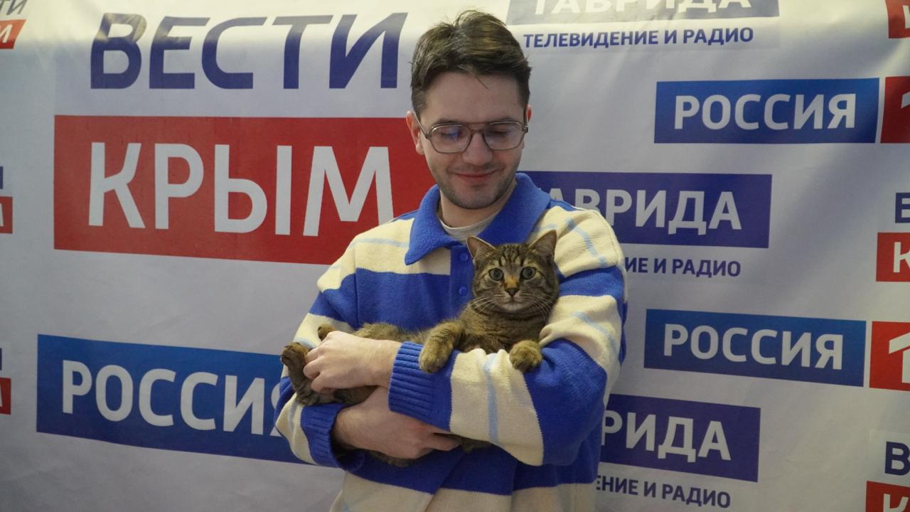 Мяу-новости: истории телевизионных котов Крыма Мяу-новости: истории телевизионных котов Крыма