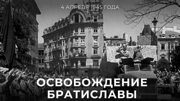 #������81. 4 ������ ����������� 81 ��� �� ��� ������������ ���������� �� �������-���������� �����������