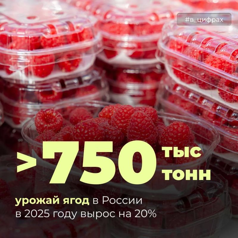 � ������� ���� � ������ ������� �� 20% ������ ����