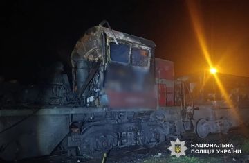 ���� ����: �� �� ����� ������� ����� �� �������� � 7 �������� �������