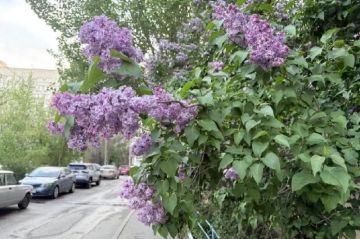 ���� ������ �� ����� � ���������: ���� ��������� ���� ������ � ����������