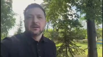 Владислав Шурыгин: Зеленский снова заявил об угрозе удара со стороны Беларуси