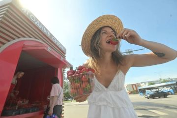 ������ ���� �����: ������������ ������������� �������� ������
