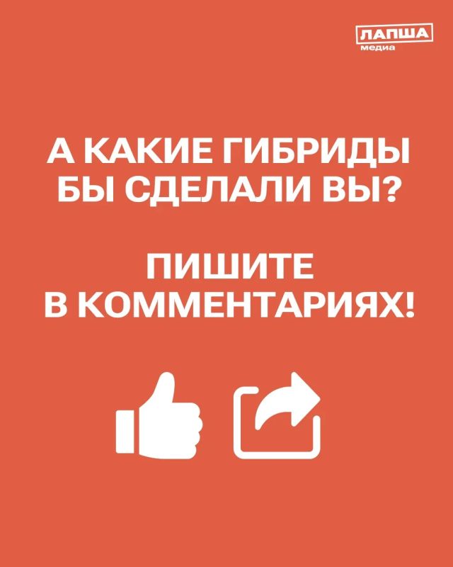 Мошенники открыли портал в ботанический рай: дачникам продают гибриды растений, сгенерированных ИИ Мошенники открыли портал в ботанический рай: дачникам продают гибриды растений, сгенерированных ИИ