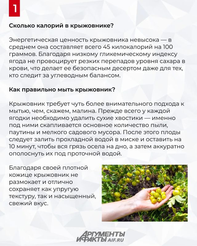 «Северный виноград» с янтарной кислотой и секретами для пищеварения «Северный виноград» с янтарной кислотой и секретами для пищеварения