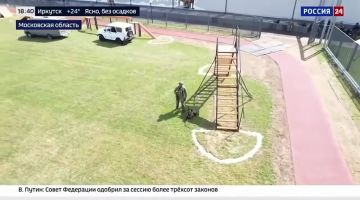 �������� ���������� ������ ������� ������� ������������������ �������������� ����� ���� ����� �. �. ������������