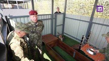 Генерал Виктор Золотов высоко оценил подготовку кинологов центра Отдельной дивизии оперативного назначения им. Дзержинского