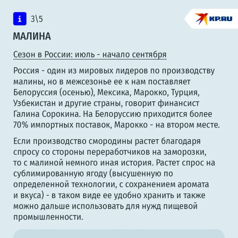 Измена смородине: что происходит в России с собственным производством ягод Измена смородине: что происходит в России с собственным производством ягод
