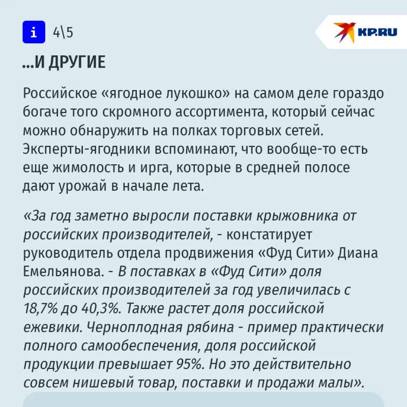 Измена смородине: что происходит в России с собственным производством ягод Измена смородине: что происходит в России с собственным производством ягод