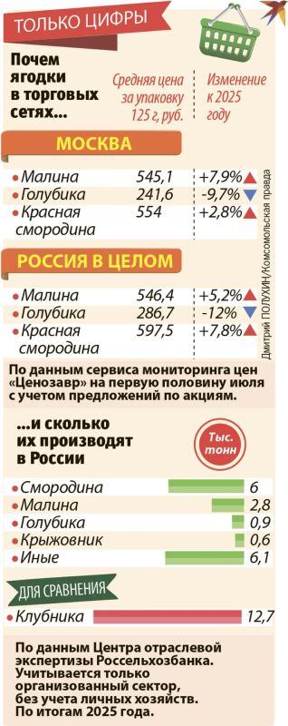 Измена смородине: что происходит в России с собственным производством ягод Измена смородине: что происходит в России с собственным производством ягод